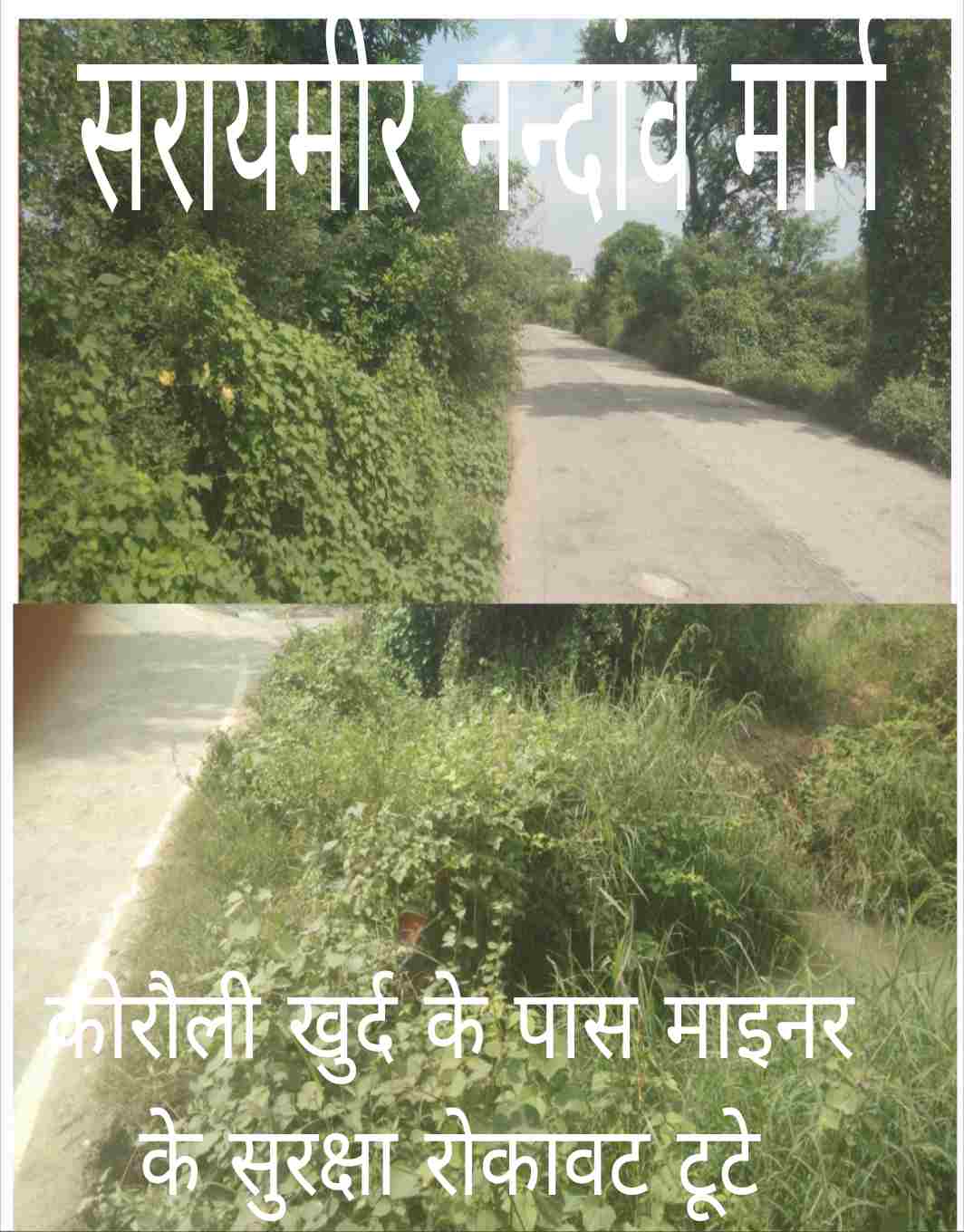 सड़क किनारे झाड़ियों का अंबार, कोरौली खुर्द में टूटी पुलिया बनी हादसों का सबब