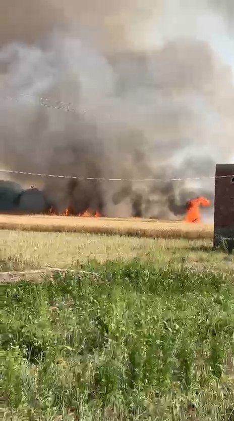 30 बीघा गेहूं की फसल में लगी भीषण आग, ग्रामीणों ने कड़ी मशक्कत के बाद पाया काबू